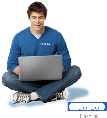 Virtualizador de Flash Link